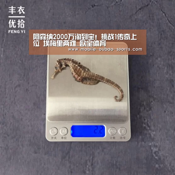阿森纳2000万淘到宝!挑战1传奇上位 埃梅里两难_欧宝体育(图1) 欧宝体育官网